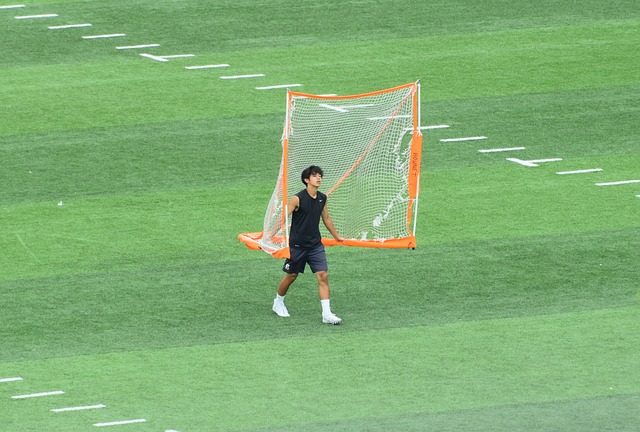 供了雙重保